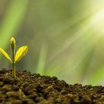 Investitionen