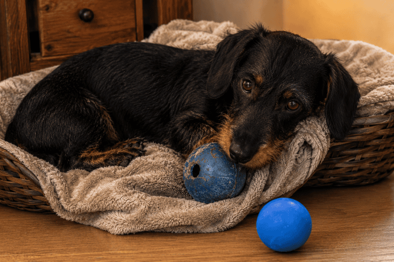 Ares und 2 Bälle